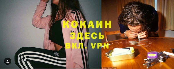 стафф Сосновоборск