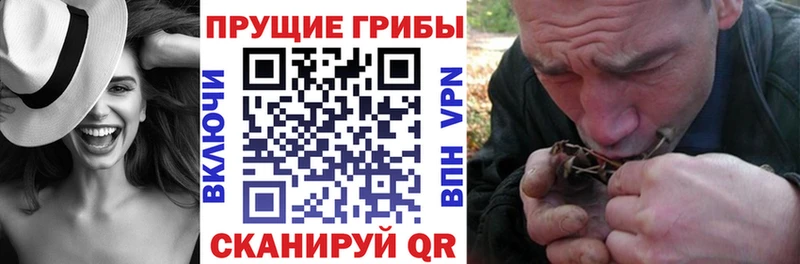 Галлюциногенные грибы GOLDEN TEACHER  KRAKEN как зайти  Большой Камень  где можно купить наркотик 